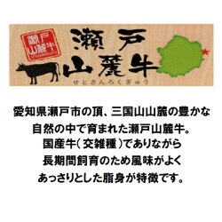 【ふるさと納税】希少部位　瀬戸山麓牛ヒレステーキ3枚(1枚約100g×3枚)【1253747】 画像2