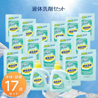 液体洗剤セット 600ml×2本、500ml×15袋【1289883】