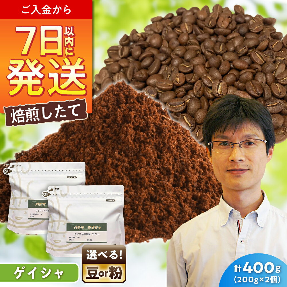 【ふるさと納税】ゲイシャコーヒー タラマンカス農園　200g×2 / 珈琲 コーヒー ゲイシャ / 瀬戸市 / Coffee　SAKURA[BBAB130]