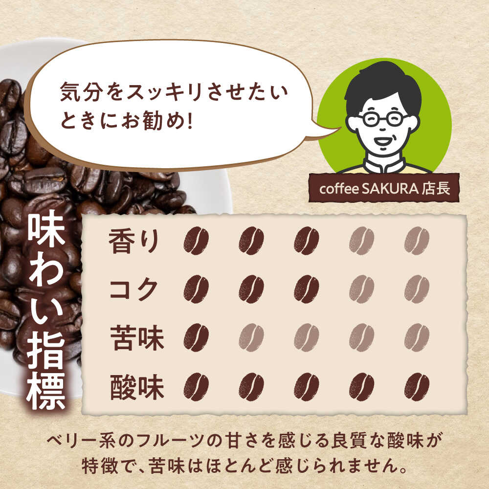 【ふるさと納税】キリマンジャロコーヒー モンデュール農園　200g×2 / 珈琲 コーヒー キリマンジャロ / 瀬戸市 / Coffee　SAKURA[BBAB134] f232041-seto-10001475 愛知県瀬戸市 サンプル画像3