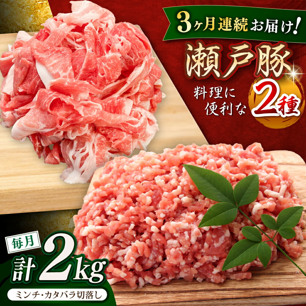 [全3回定期便]瀬戸豚2種セット(ミンチ+カタバラ切落し) 計2kg / 豚肉 小分け ミンチ 切り落とし / 瀬戸市 / 関屋精肉店[BBBQ189]