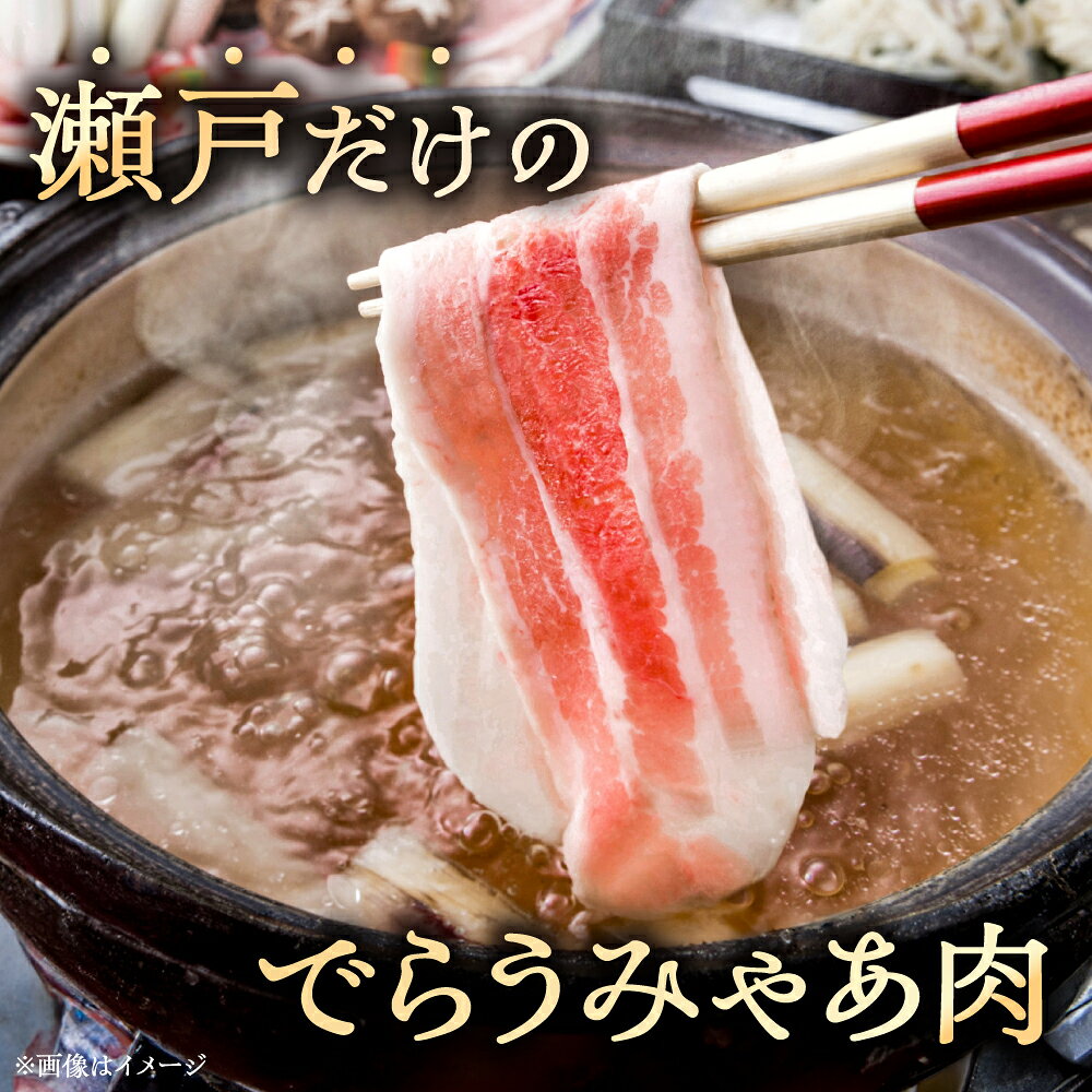 【ふるさと納税】【全6回定期便】瀬戸豚 しゃぶしゃぶセット 計4.5kg / 豚肉 小分け しゃぶしゃぶ セット / 瀬戸市 / 関屋精肉店[BBBQ214]