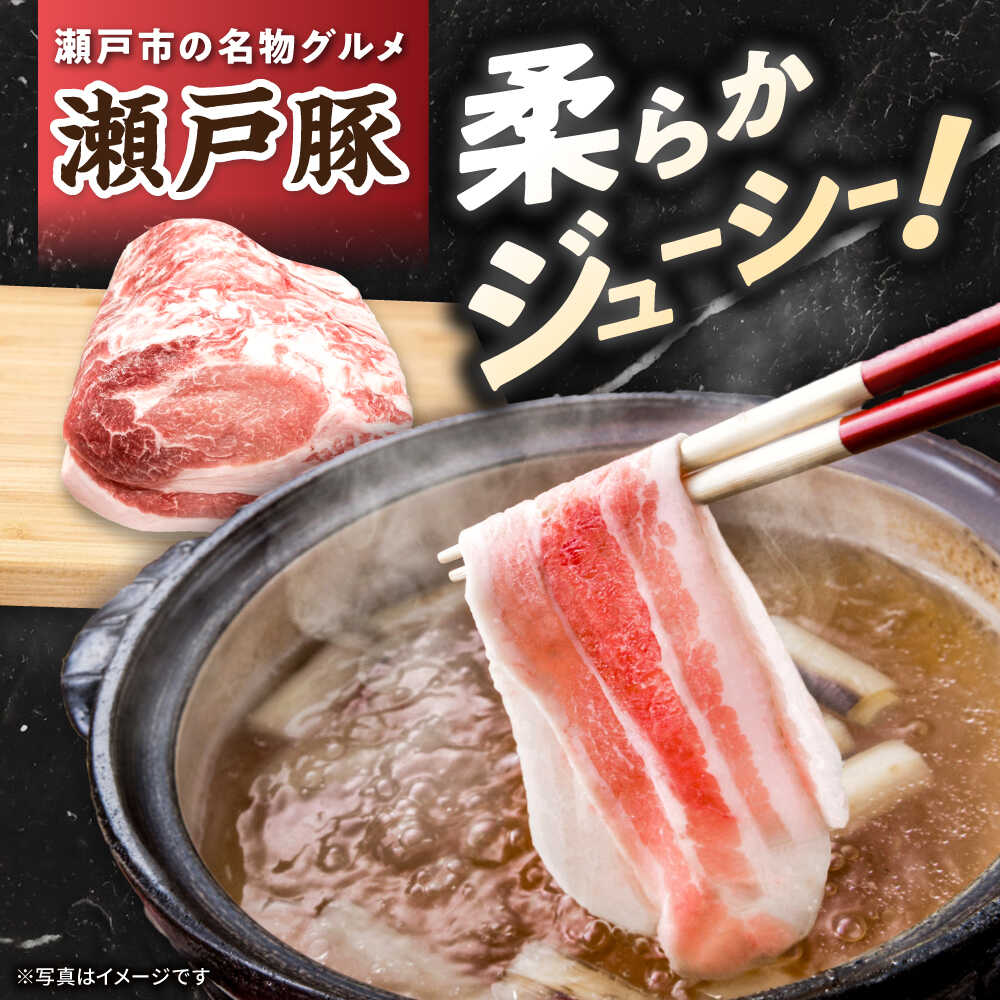 愛知県瀬戸市の【ふるさと納税】【全4回定期便】 瀬戸豚 生活応援セット 計5kg / 豚肉 豚バラ しゃぶしゃぶ ミンチ セット 小分け / 瀬戸市 / 関屋精肉店[BBBQ229]｜アングル3