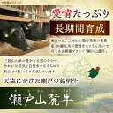 愛知県瀬戸市の画像3