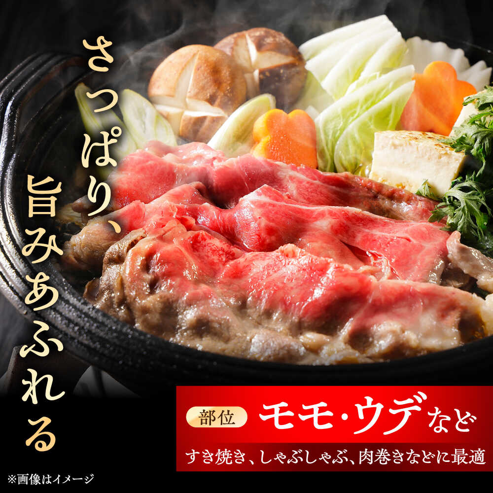 【ふるさと納税】瀬戸山麓牛赤身スライス500g（250g×2P）/ 牛肉 お肉 国産 冷凍 / 瀬戸市 / 関屋精肉店[BBBQ033] f232041-seto-10000713 愛知県瀬戸市 サンプル画像3