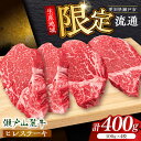 【ふるさと納税】【選べる発送月】希少部位 瀬戸山麓牛 ヒレステーキ 4枚(約100g×4枚) / 牛肉 ステーキ 牛ステーキ 和牛 ヒレ ヒレ肉 ヒレステーキ ...