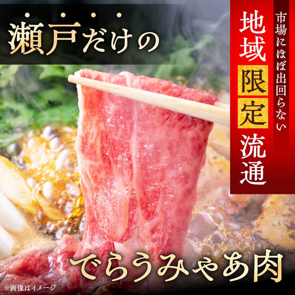 ふるさと納税 全12回定期便 瀬戸山麓牛赤身スライス500g（250g×2P） 牛肉 お肉 国産 冷凍 瀬戸市 関屋精肉店 BB f232041-seto-10001228 愛知県瀬戸市 サンプル画像2