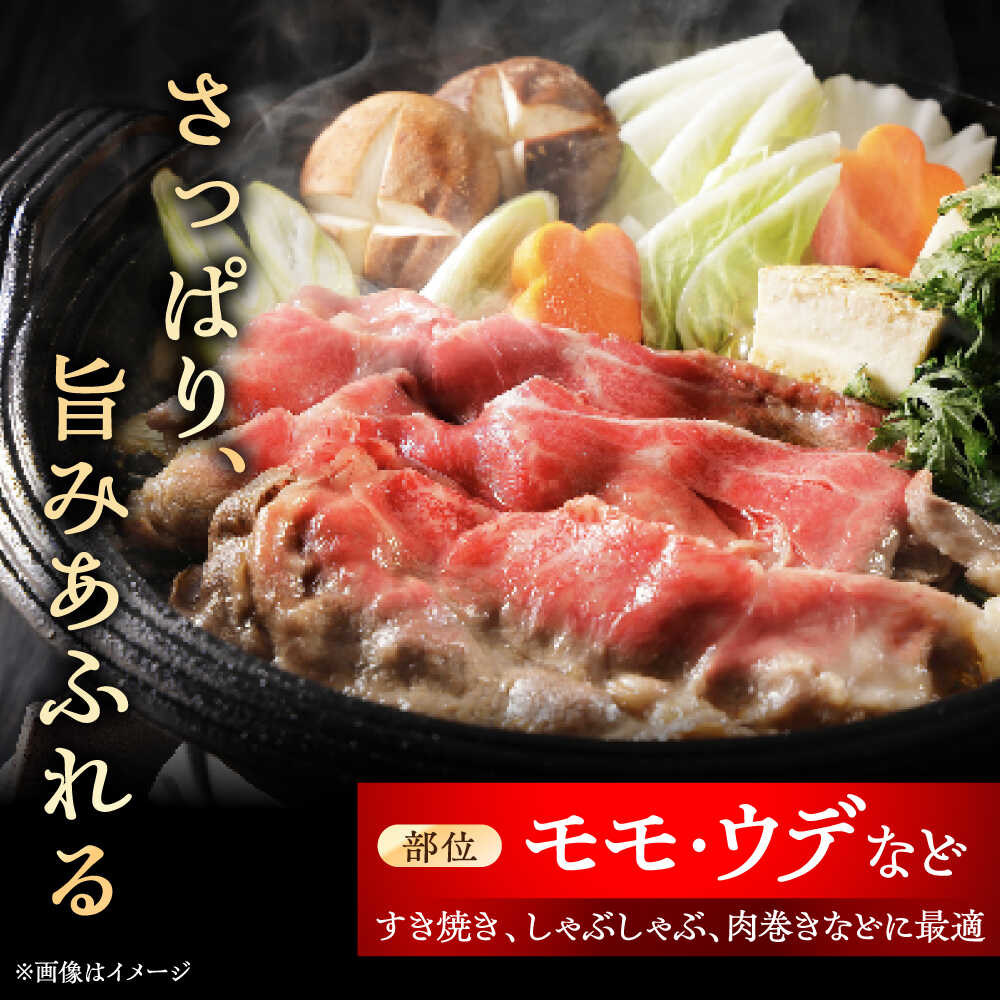 ふるさと納税 全12回定期便 瀬戸山麓牛赤身スライス500g（250g×2P） 牛肉 お肉 国産 冷凍 瀬戸市 関屋精肉店 BB f232041-seto-10001228 愛知県瀬戸市 サンプル画像3