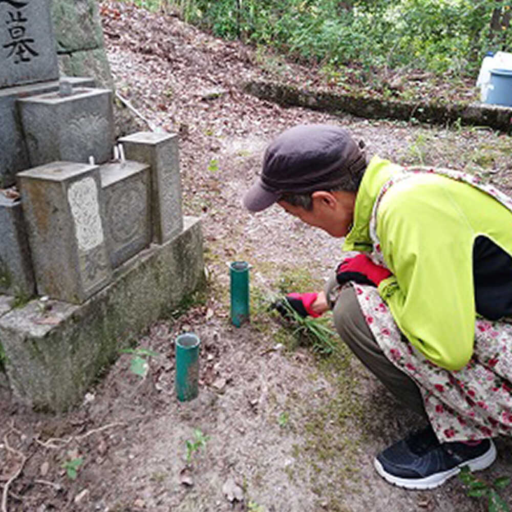 【ふるさと納税】墓地清掃サービス / 清掃代行...の紹介画像2