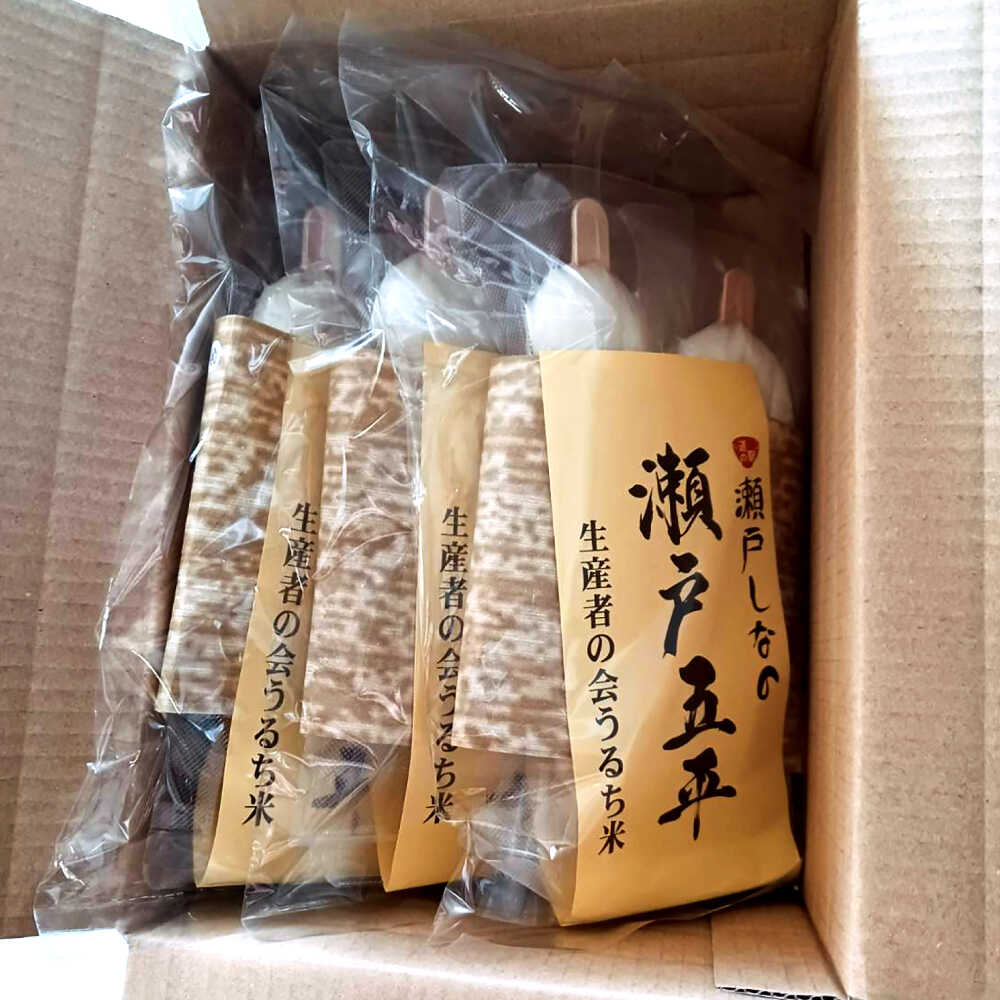 瀬戸市産ミネアサヒ（米）使用、もちもちオリジナル五平餅！　【ふるさと納税】道の駅瀬戸しなの　瀬戸五平 / 五平餅 うるち米 おやつ オリジナル みそ / 瀬戸市 / 道の駅瀬戸しなの[BBCE002]
