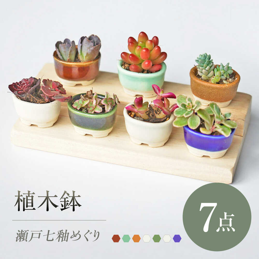 【ふるさと納税】【瀬戸焼】 植木鉢 瀬戸七釉めぐり 7点 / 瀬戸市 / 【文山製陶所】 / 植木鉢 陶器 プランター 植物 鉢[BBCG003]