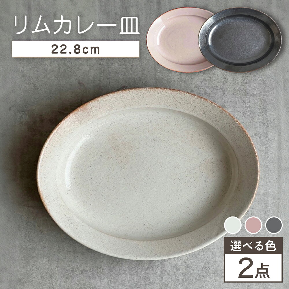 [選べる3色][瀬戸焼]リムカレー皿 2枚セット[株式会社カネ三商店] / 皿 食器 カレー皿 ギフト プレゼント / 瀬戸市[BBDD012]