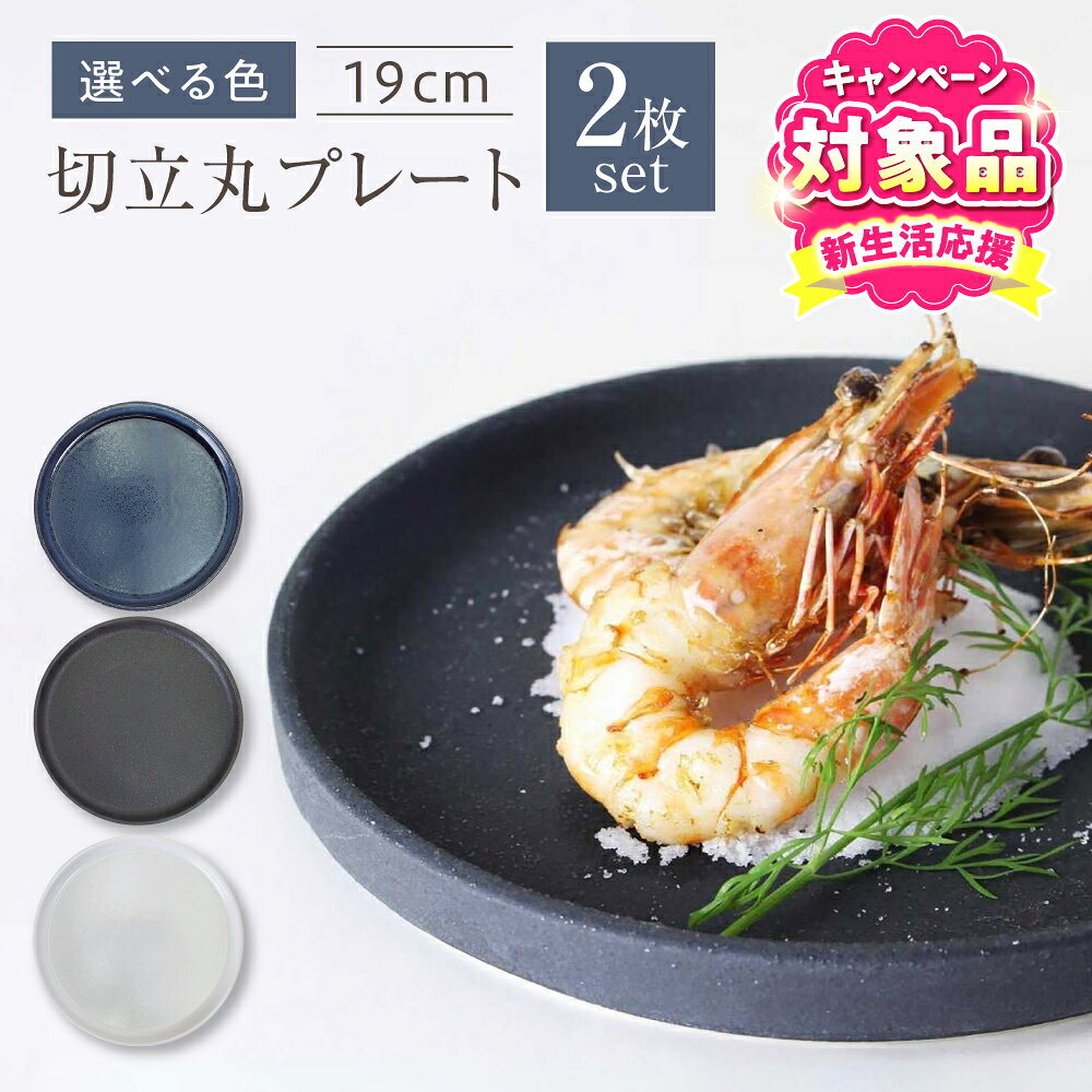 【ふるさと納税】【キャンペーン対象】【選べる3色】【瀬戸焼】切立丸プレート(19cm) 2枚セット【ヤマハツクリタ株式会社】 / 食器 和食器 丸皿 / 瀬戸市[BBDV025]