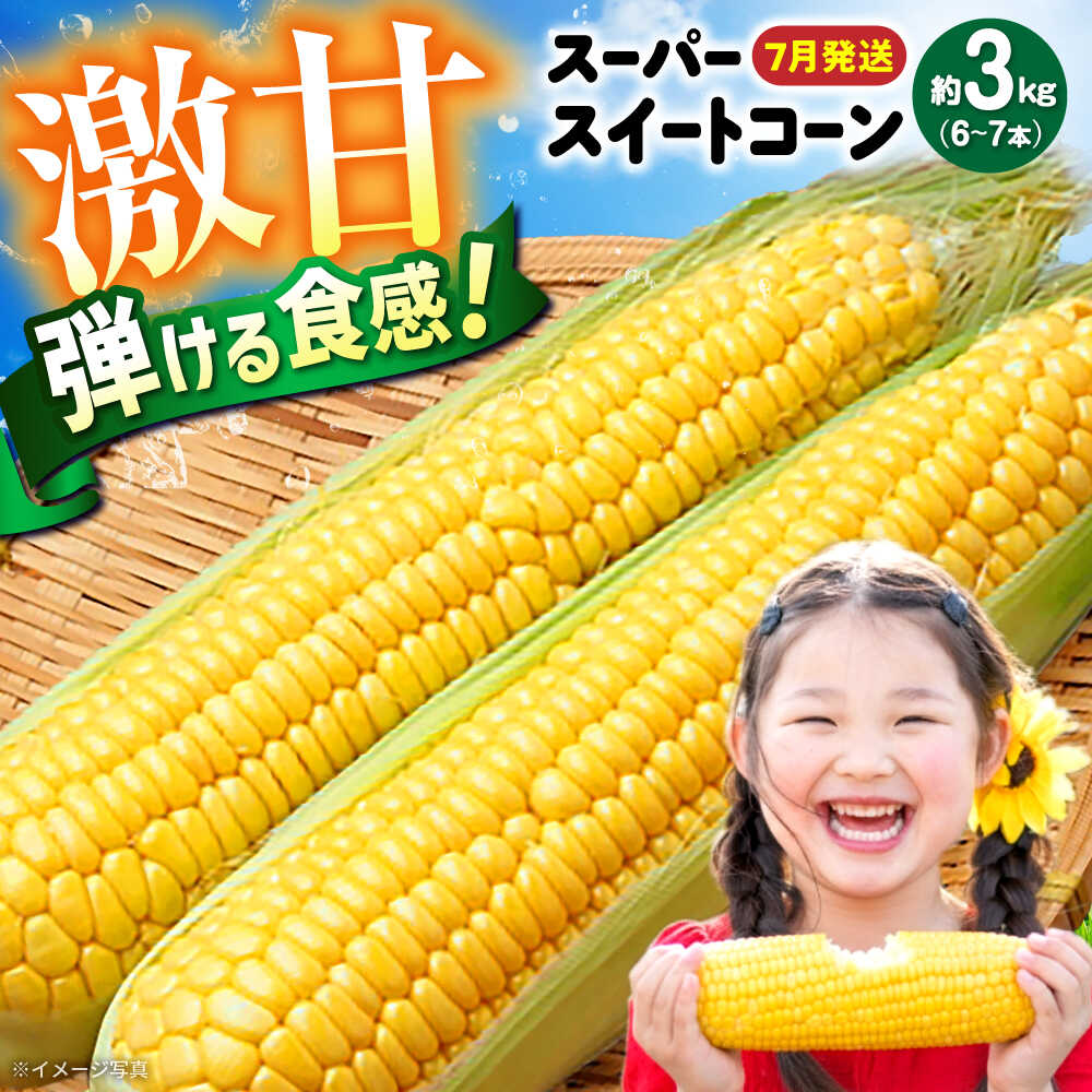 【ふるさと納税】【7月上旬頃より発送】スーパースイートコーン 約3kg（6〜7本） / とうもろこし トウモロコシ コーン 新鮮 野菜 / 瀬戸市 / 株式会社フラットフィールド[BBEE005]