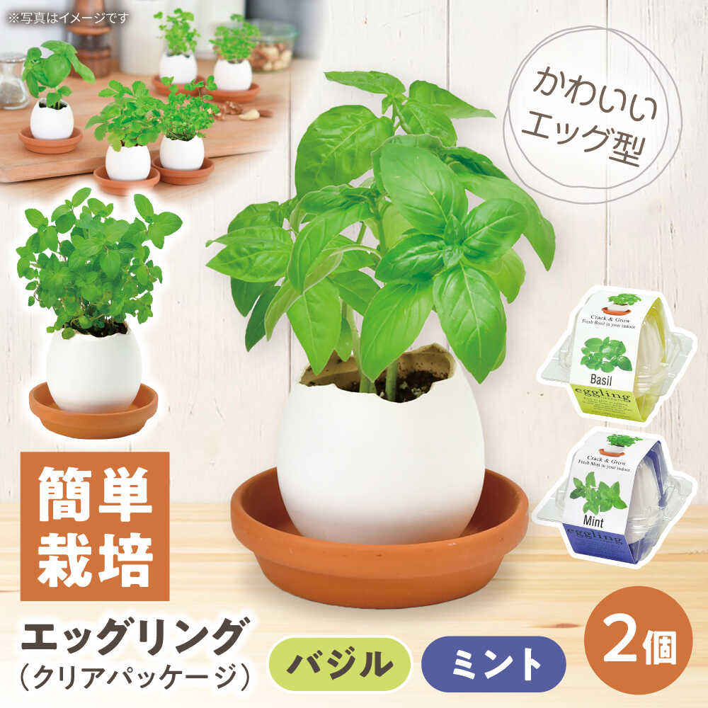 【ふるさと納税】エッグリング クリアパッケージ 2個（バジル、ミント）/ 栽培キッ...