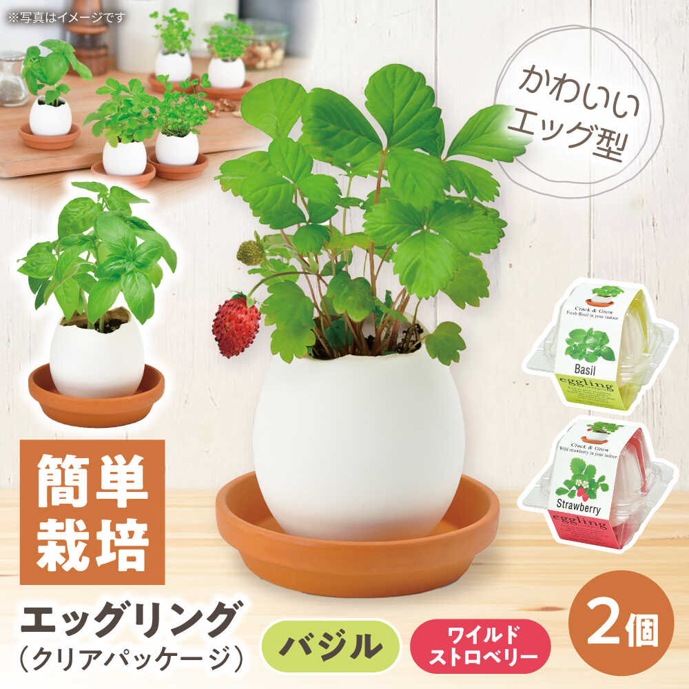 【ふるさと納税】エッグリング クリアパッケージ 2個（バジル、ワイルドストロベリ...
