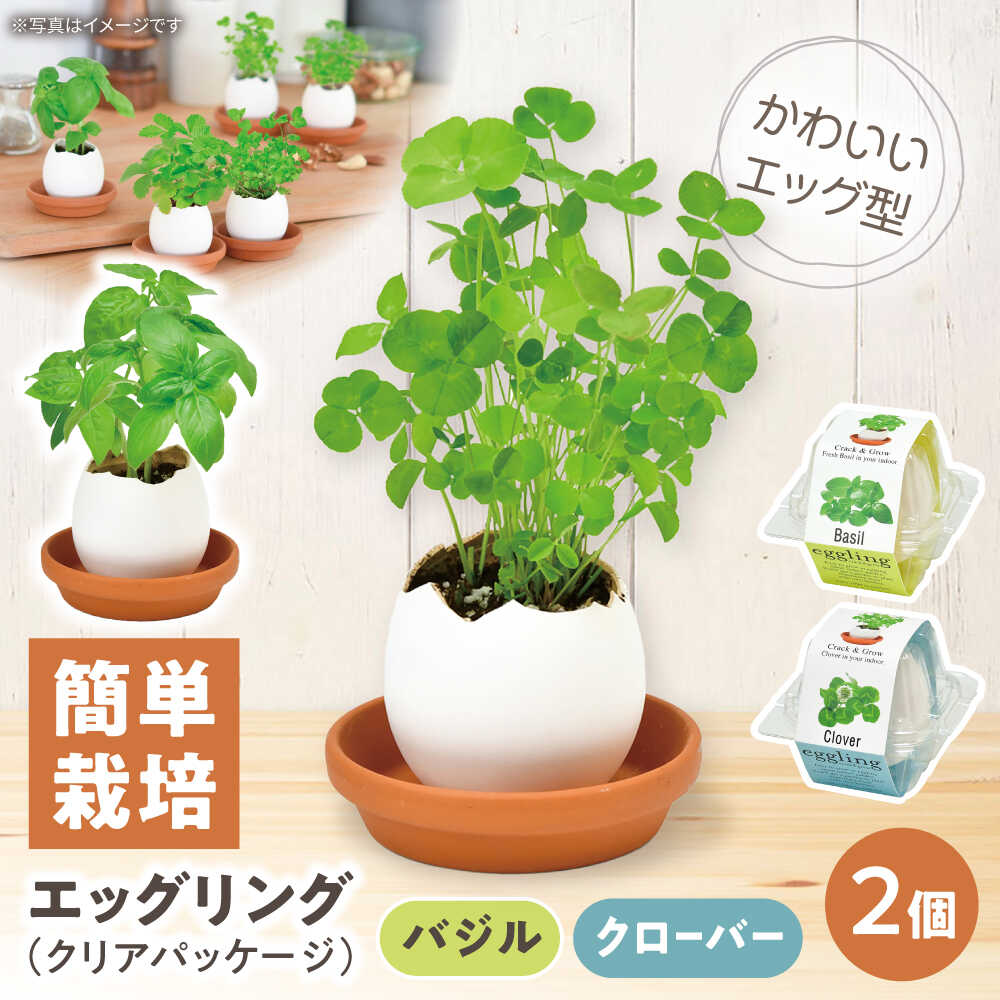 【ふるさと納税】エッグリング クリアパッケージ 2個（バジル、クローバー） / 栽...