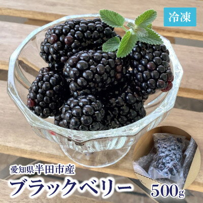 【ふるさと納税】愛知県・半田市産 栽培期間中農薬不使用・冷凍ブラックベリー 500g【配送不可地域:離島】【1328196】 【ふるさと納税】愛知県・半田市産 栽培期間中農薬不使用・冷凍ブラックベリー 500g【配送不可地域:離島】【1328196】
