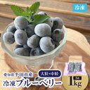 【ふるさと納税】知多半島・半田市産 冷凍ブルーベリー(大粒・中粒)1Kg【配送不可地域:離島】【1412297】