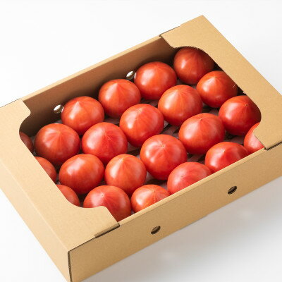 【ふるさと納税】愛知県半田市産ファーストトマト　一箱3キロ以