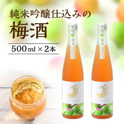 【ふるさと納税】【金鯱】純米吟醸仕込みの梅酒(500ml×2本)【1485677】