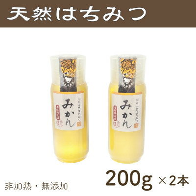 竹内養蜂の蜂蜜1種(みかん2本) 各200g プラスチック便利容器