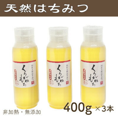 【ふるさと納税】竹内養蜂の蜂蜜1種(くろがねもち3本) 各400g プラスチック便利容器【1488847】