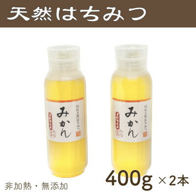 【ふるさと納税】竹内養蜂の蜂蜜1種(みかん2本) 各400g プラスチック便利容器【1488855】