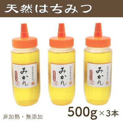 【ふるさと納税】竹内養蜂の蜂蜜1種(みかん3本) 各500g