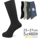 【ふるさと納税】25~27cm 東洋紡銀世界使用の除菌靴下 5足セット(ブラック2、グレー・チャコール・ブルー各1)【1532503】