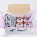 【ふるさと納税】知多半島産 冷凍ブルーベリー&ブルーベリージェラートセット【配送不可地域:離島】【1562333】