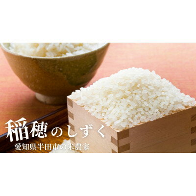 【ふるさと納税】令和7年産 稲穂のしずく 白米 10kg【1677344】