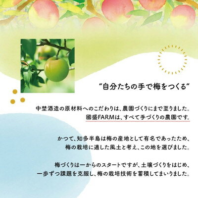 愛知県半田市の画像3