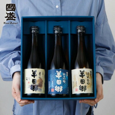 【ふるさと納税】愛知の地酒 半田郷 飲み比べセット【1720913】