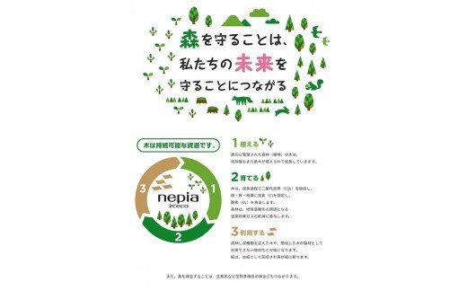 【ふるさと納税】ネピア　ネピecoティシュ200組　5箱×12パック【ネピア／ティッシュ】