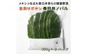 【ふるさと納税】メキシコ生まれ春日井育ちの健康野菜食べるサボテン春日井ノパル300グラム2パック ※2025年4月から順次発送 サボテン 多肉植物 ウチワサボテ...