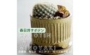 【ふるさと納税】多治見市×春日井市コラボ 【美濃焼】 陶芸家「村上洋子」 皿付き植木鉢 M × 【日本有数のサボテン産地】 春日井市の名店 後藤サボテン