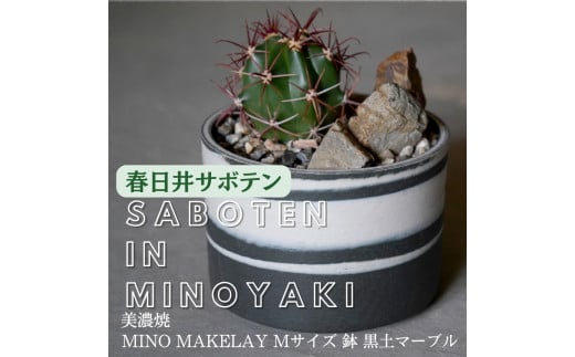 多治見市×春日井市コラボ [美濃焼] MINO MAKELAY Mサイズ 鉢 黒土マーブル ×[日本有数のサボテン産地] 春日井市の名店 後藤サボテン