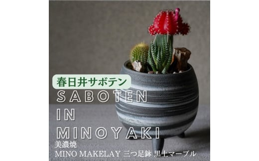多治見市×春日井市コラボ [美濃焼] MINO MAKELAY 三つ足鉢 黒土マーブル ×[日本有数のサボテン産地]春日井市の名店 後藤サボテン