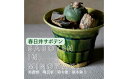 【ふるさと納税】多治見市×春日井市コラボ 【美濃焼】 陶芸家「鈴木徹」植木鉢 S × 【日本有数のサボテン産地】 春日井市の名店 後藤サボテン