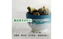 【ふるさと納税】多治見市×春日井市コラボ 【美濃焼】 陶芸家「北川和喜」 碗型植木鉢 S× 【日本有数のサボテン産地】 春日井市の名店 後藤サボテン