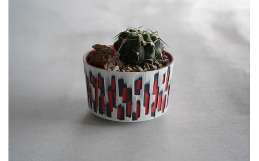 【ふるさと納税】多治見市×春日井市コラボ 【美濃焼】 陶芸家「北川和喜」 重色目 円柱鉢L × 【日本有数のサボテン産地】 春日井市の名店 後藤サボテン