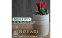 【ふるさと納税】多治見市×春日井市コラボ 【美濃焼】 MINO MAKELAY Tall 鉢 赤土マーブル × 【日本有数のサボテン産地】 春日井市の名店 後藤サボテン