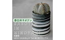 【ふるさと納税】多治見市×春日井市コラボ 【美濃焼】 MINO MAKELAY Tall 鉢 黒土マーブル × 【日本有数のサボテン産地】 春日井市の名店 後藤サボテン