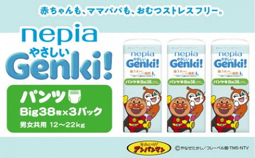 【ふるさと納税】ネピアやさしいプレミアムGenki！パンツ　Bigサイズ38枚×3パック