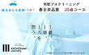 【ふるさと納税】宅配クリーニング 春日井品質(20点コース)