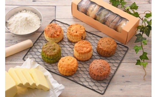 ڤդ뤵Ǽǡۥ() ̳ƻ졦ΥؤԲ