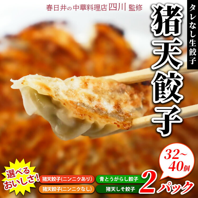 春日井の中華料理店四川監修タレなし生餃子「猪天餃子」