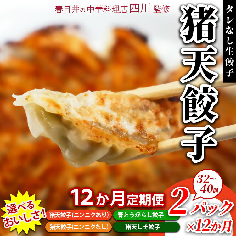 [12ヶ月定期便]春日井の中華料理店四川監修タレなし生餃子「猪天餃子」 12ヶ月コース