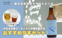 【ふるさと納税】楽器シリーズのクラフトビール(9本セット)